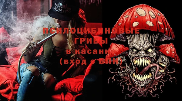 шишки Алзамай