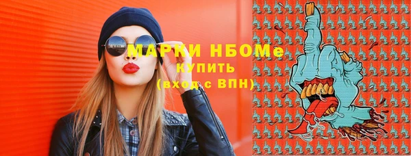 гидра Алексин