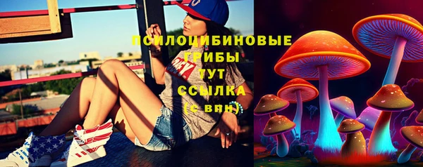 соль ск Алексеевка