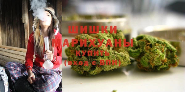 шишки Алзамай